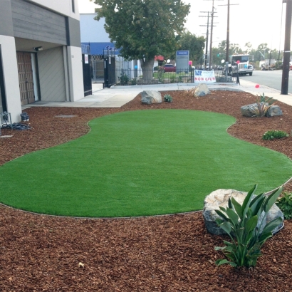 Synthetic Turf Cambria, California Garden Ideas, Commercial Landscape