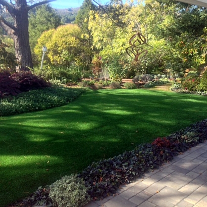 Synthetic Turf Supplier Avenal, California Design Ideas, Backyard Landscape Ideas