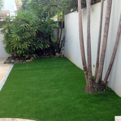 Synthetic Turf Supplier Julian, California Backyard Playground, Backyard