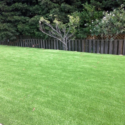 Synthetic Turf Supplier Mission Hills, California Lawns, Beautiful Backyards