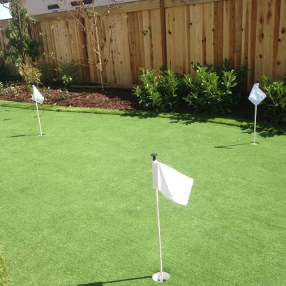 Synthetic Turf Supplier New Cuyama, California Landscape Photos, Backyard Landscaping Ideas