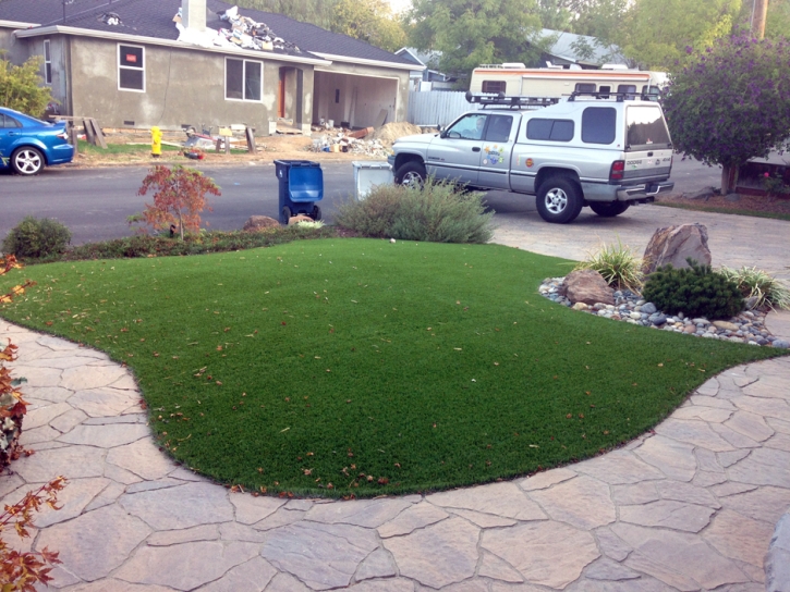 Artificial Grass Carpet Avila Beach, California Garden Ideas, Front Yard Landscape Ideas