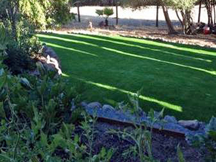 Artificial Grass Carpet Fuller Acres, California Landscaping, Backyards