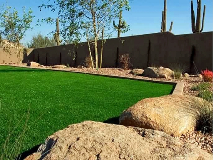 Artificial Grass Carpet Jamul, California Landscape Design, Backyard Landscaping