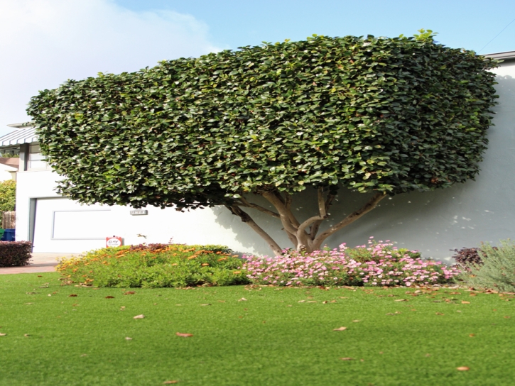 Artificial Grass Carpet Merced, California Landscape Photos, Front Yard