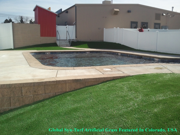 Artificial Grass Carpet North Glendale, California Roof Top, Kids Swimming Pools