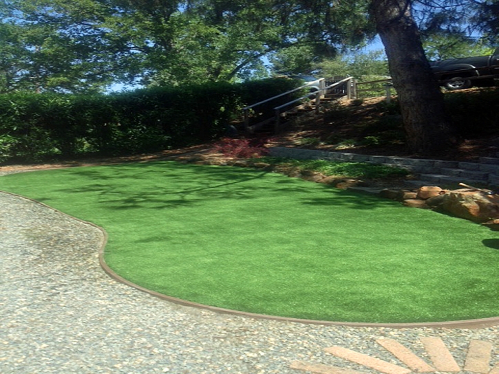 Artificial Grass Carpet Paso Robles, California Lawn And Landscape, Backyard Landscape Ideas