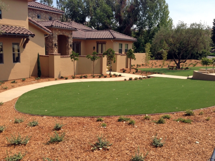 Artificial Grass Carpet Santa Clarita, California Garden Ideas, Front Yard Ideas