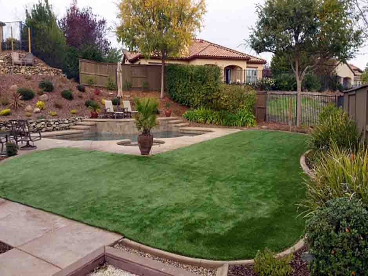 Artificial Grass Carpet Spreckels, California Lawn And Landscape, Backyard Makeover