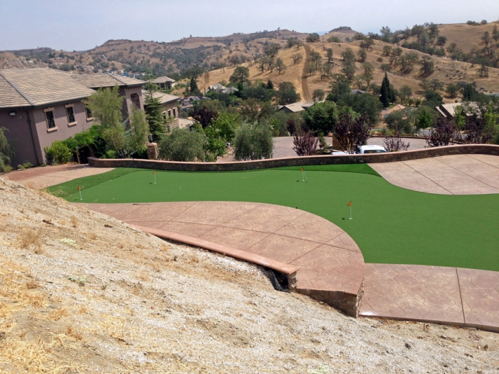 Artificial Grass Carpet Vincent, California Landscape Ideas, Backyard Garden Ideas