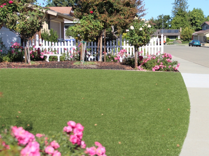 Artificial Grass Installation Coachella, California Backyard Playground, Front Yard Ideas