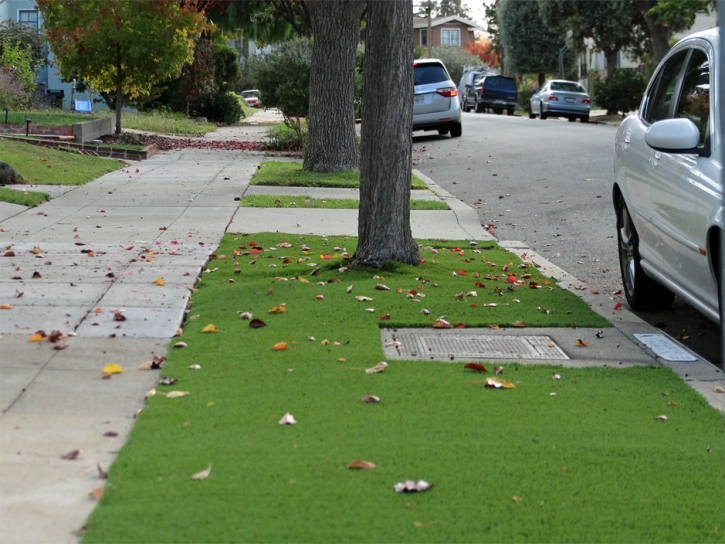 Artificial Grass Installation Mendota, California Rooftop, Front Yard