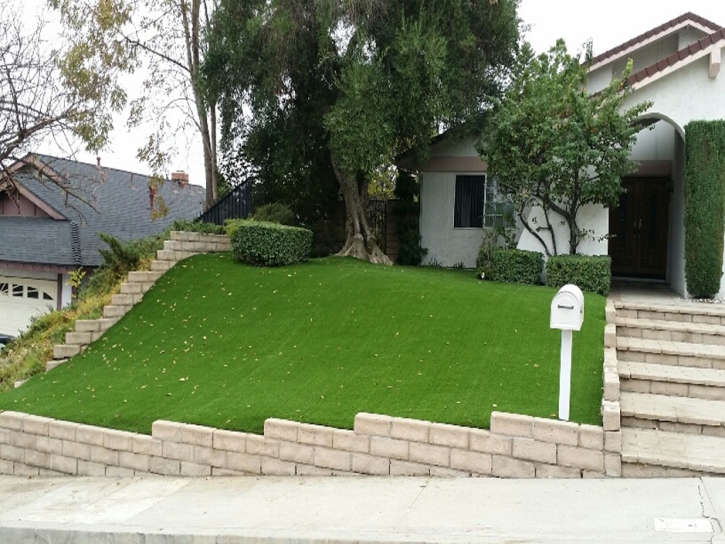 Artificial Grass Installation San Diego, California City Landscape, Front Yard Ideas