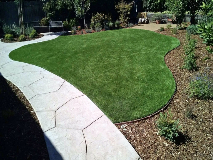 Artificial Grass Lake Arrowhead, California Lawn And Garden, Front Yard Ideas