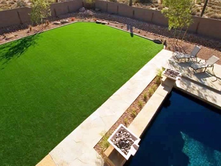 Artificial Grass Monson, California Landscaping Business, Natural Swimming Pools