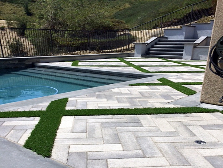 Artificial Grass Oak Park, California Garden Ideas, Backyard Designs