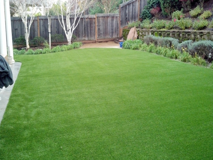 Artificial Grass Oak View, California Landscape Ideas, Backyard Makeover