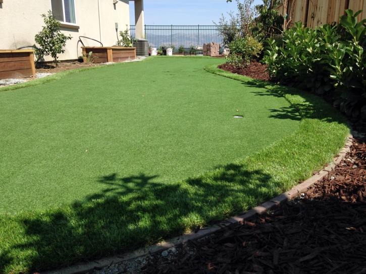 Artificial Grass Orange, California Landscape Design, Backyard