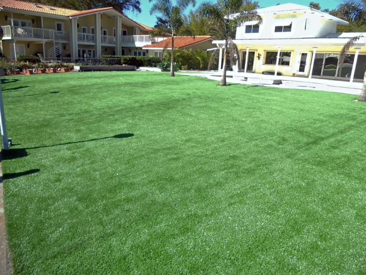 Artificial Grass Oxnard Shores, California Backyard Playground, Pool Designs