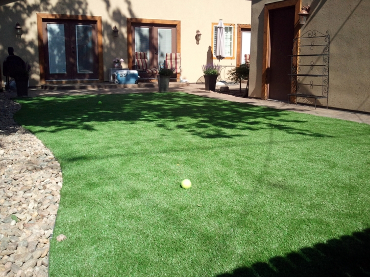 Artificial Grass Romoland, California City Landscape, Backyard Garden Ideas