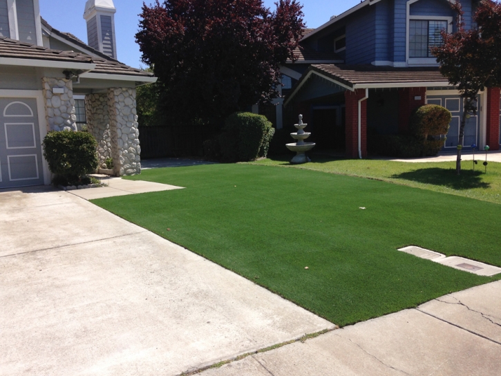 Artificial Grass Westlake Village, California Roof Top, Landscaping Ideas For Front Yard