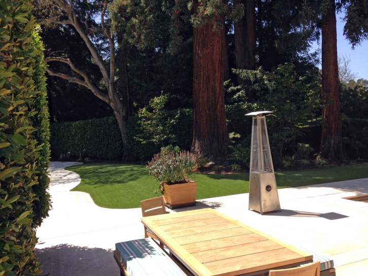 Artificial Lawn Casmalia, California Garden Ideas, Backyard Ideas