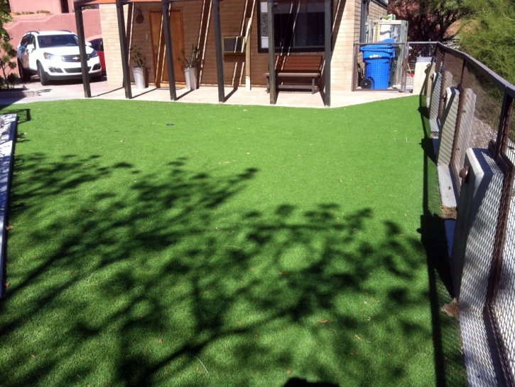 Artificial Lawn Ceres, California Landscape Design, Backyard Landscaping Ideas