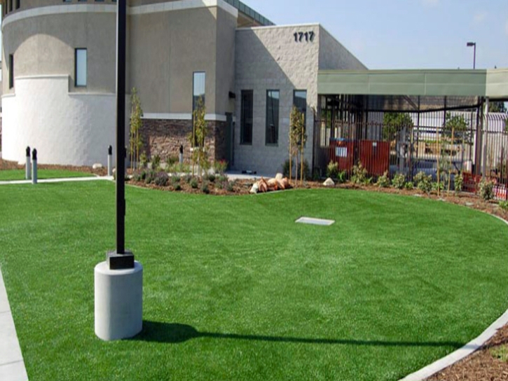 Artificial Lawn Eucalyptus Hills, California Rooftop, Commercial Landscape