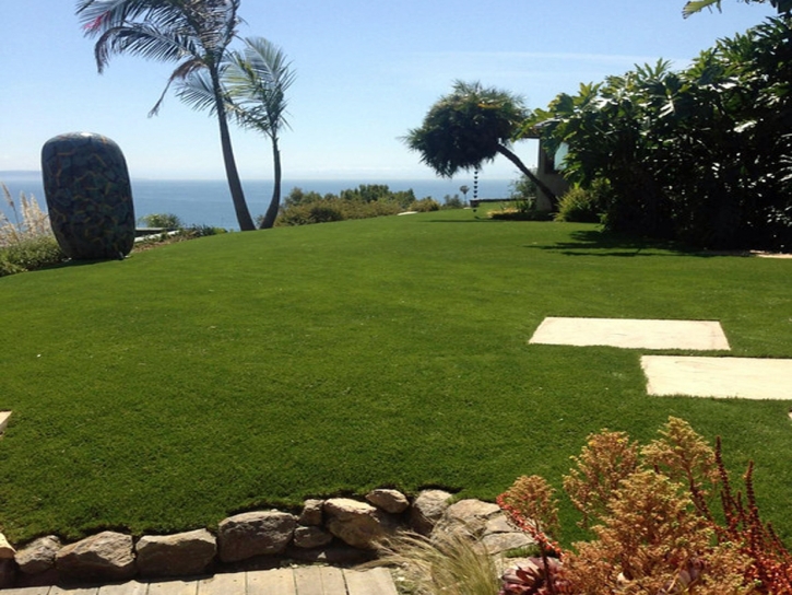 Artificial Lawn Joshua Tree, California City Landscape, Commercial Landscape