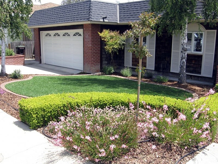 Artificial Lawn Lee Vining, California Design Ideas, Small Front Yard Landscaping