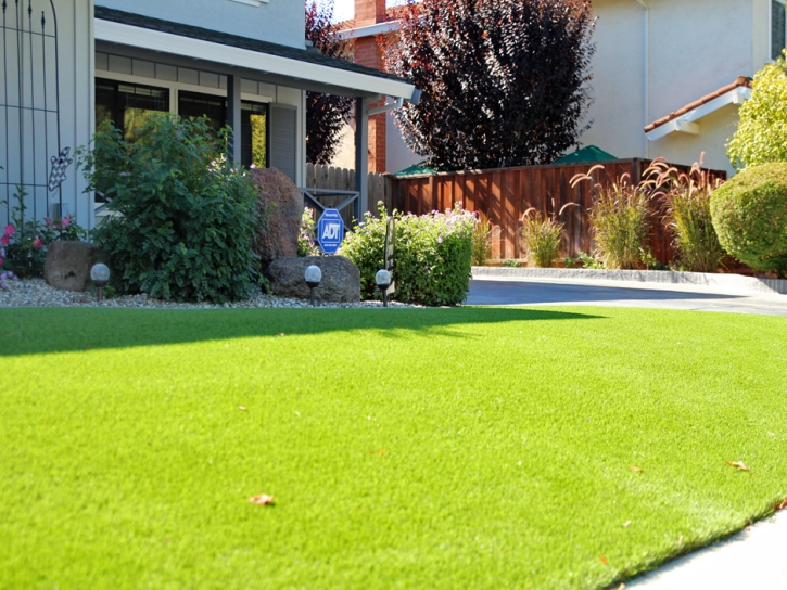 Artificial Lawn Posey, California City Landscape, Front Yard Landscape Ideas