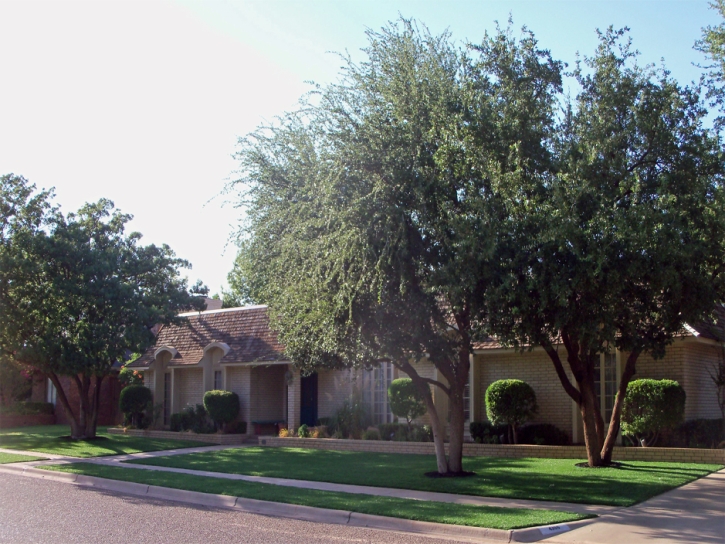 Artificial Turf Buck Meadows, California Backyard Playground, Small Front Yard Landscaping