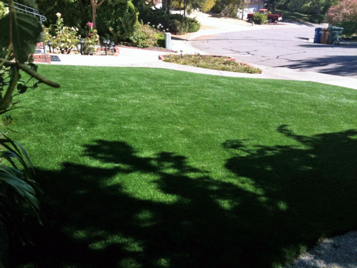 Artificial Turf Cost Bombay Beach, California Landscape Design, Front Yard