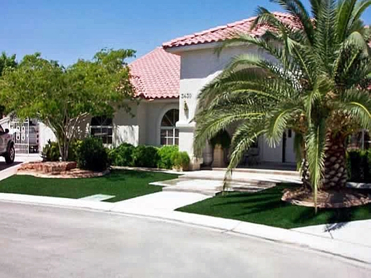 Artificial Turf Cost Gonzales, California Landscape Photos, Front Yard Design