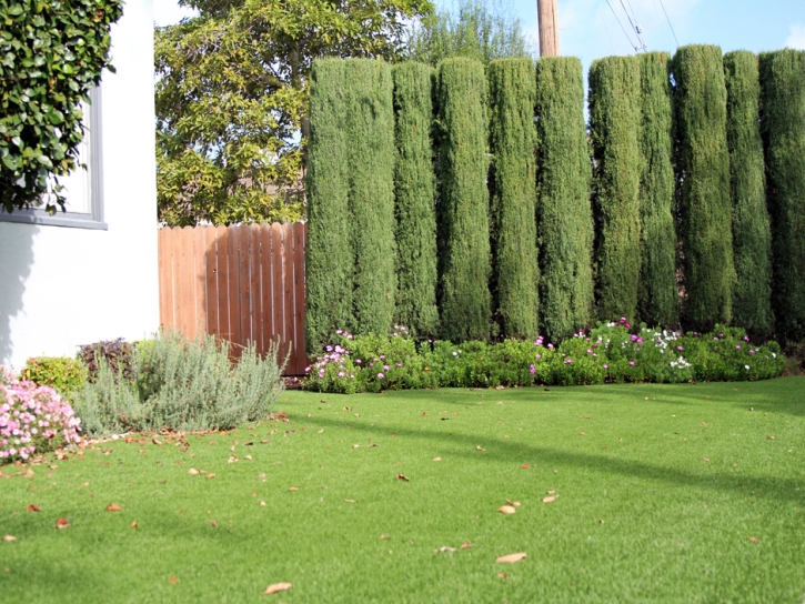 Artificial Turf Cost Le Grand, California Landscape Photos, Front Yard Landscape Ideas