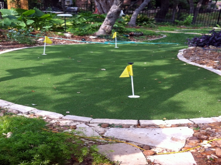 Artificial Turf Cost Lomita, California Backyard Playground, Backyard Landscape Ideas