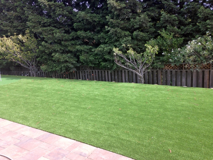 Artificial Turf Cost Wasco, California Landscape Rock, Backyard Ideas