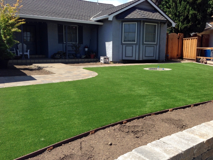 Artificial Turf Cost West Hills, California City Landscape, Front Yard Landscaping Ideas