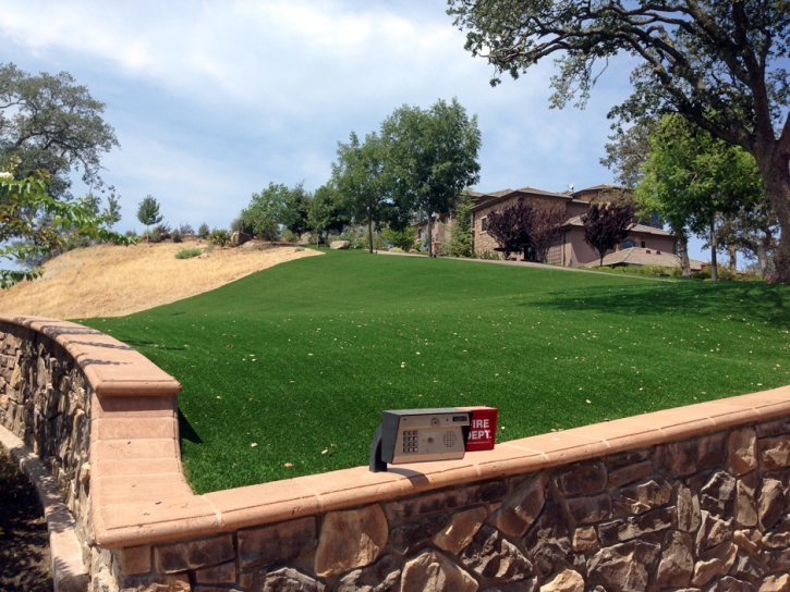 Artificial Turf Ford City, California Roof Top, Front Yard Landscape Ideas