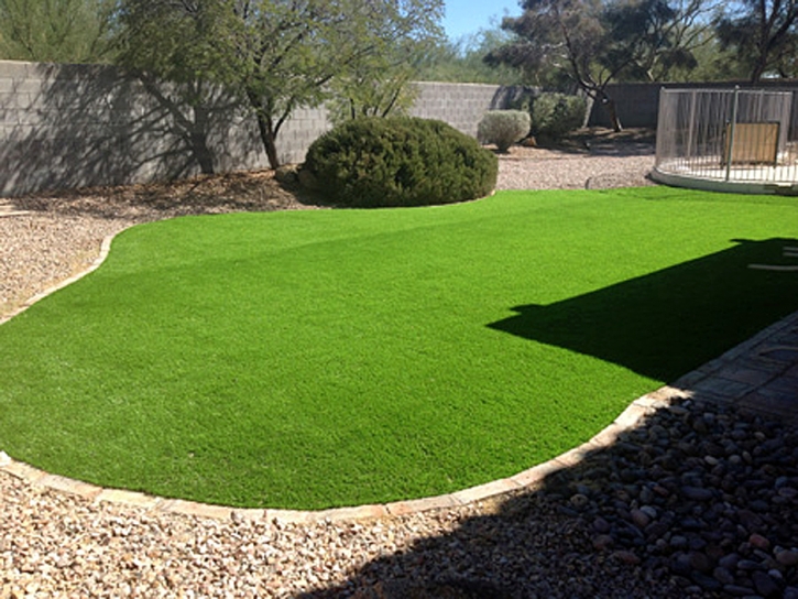 Artificial Turf Garden Farms, California Design Ideas, Backyard Design