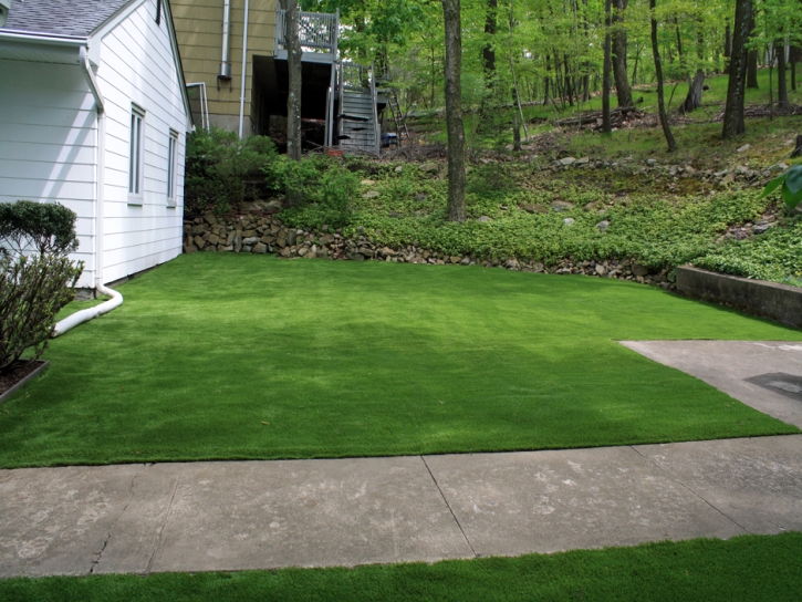 Artificial Turf Hesperia, California Lawn And Garden, Front Yard Design