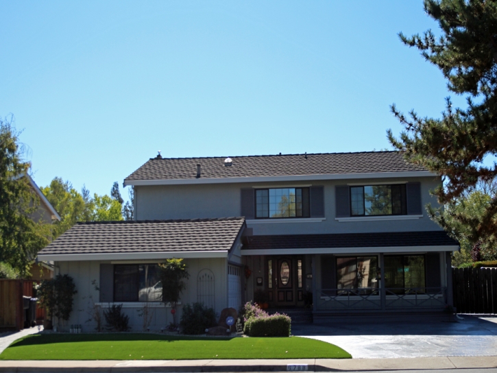 Artificial Turf Installation Easton, California Landscape Ideas, Small Front Yard Landscaping