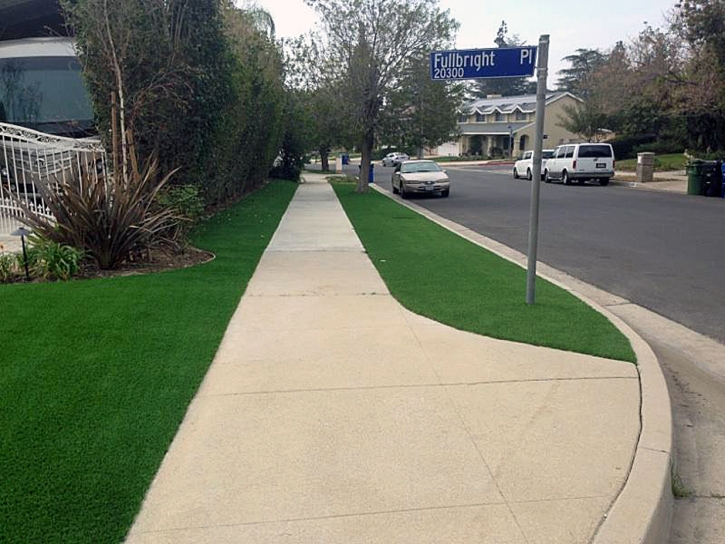 Artificial Turf Installation Inglewood, California Landscape Design, Front Yard Landscaping Ideas