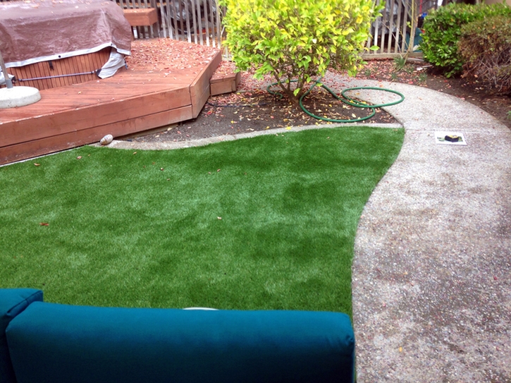 Artificial Turf San Lucas, California Roof Top, Backyard Landscaping