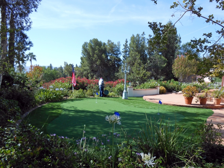 Artificial Turf Santa Barbara, California Landscape Design, Small Backyard Ideas