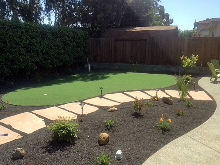 Artificial Turf Shoshone, California Indoor Putting Greens, Backyard Garden Ideas