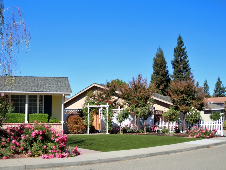 Artificial Turf Sisquoc, California Design Ideas, Small Front Yard Landscaping