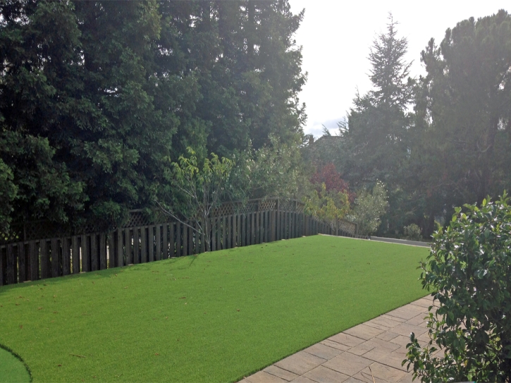 Best Artificial Grass Alpine, California Lawns, Backyard Landscape Ideas