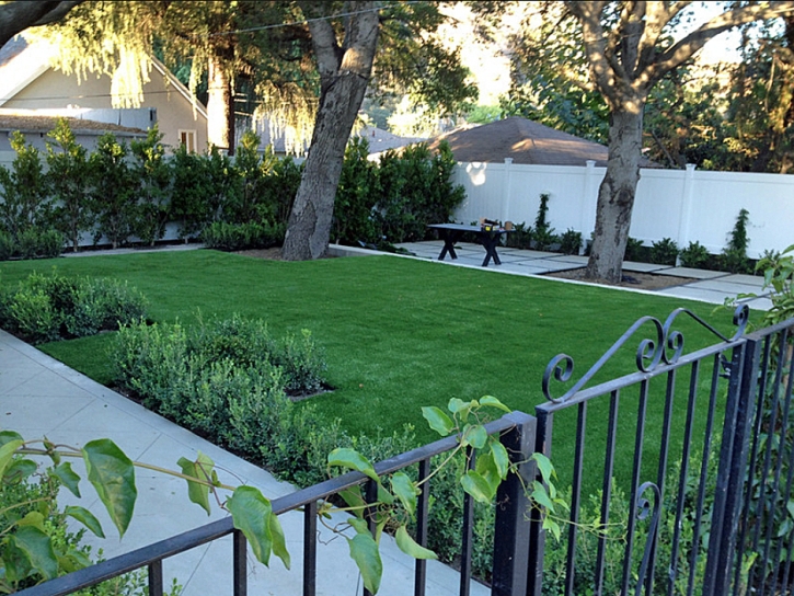 Best Artificial Grass Bass Lake, California Design Ideas, Landscaping Ideas For Front Yard