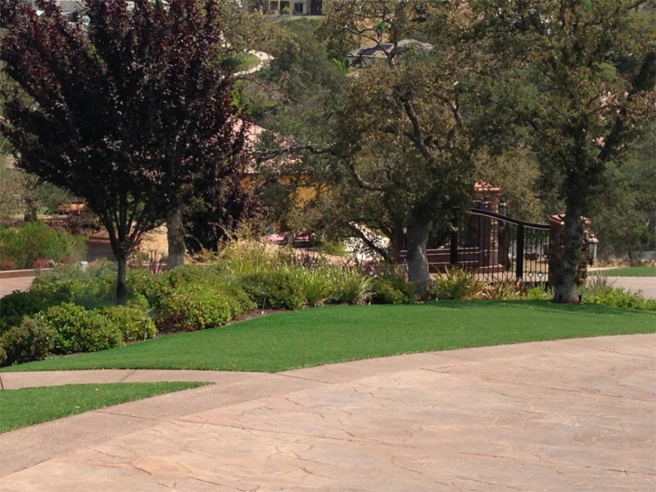 Best Artificial Grass Riverdale Park, California Lawn And Landscape, Backyard Designs